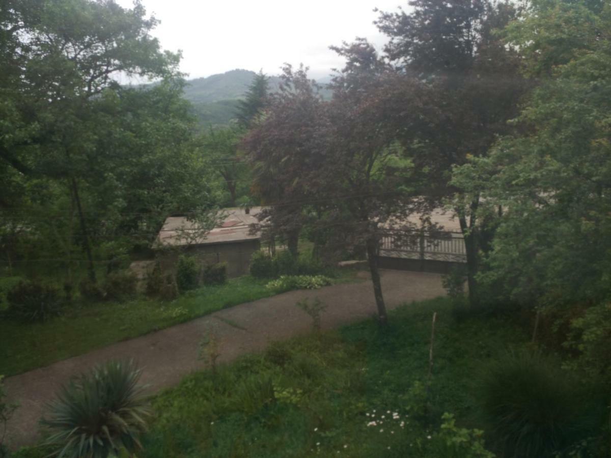Guest House Knarik Jvari 외부 사진