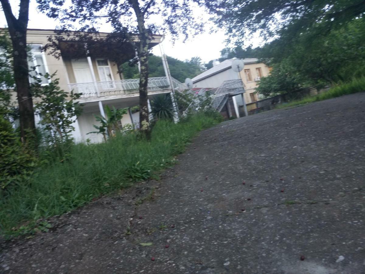 Guest House Knarik Jvari 외부 사진